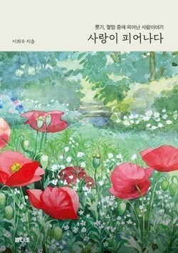 [신간소개] 사랑이 피어나다 (룻기 ...
